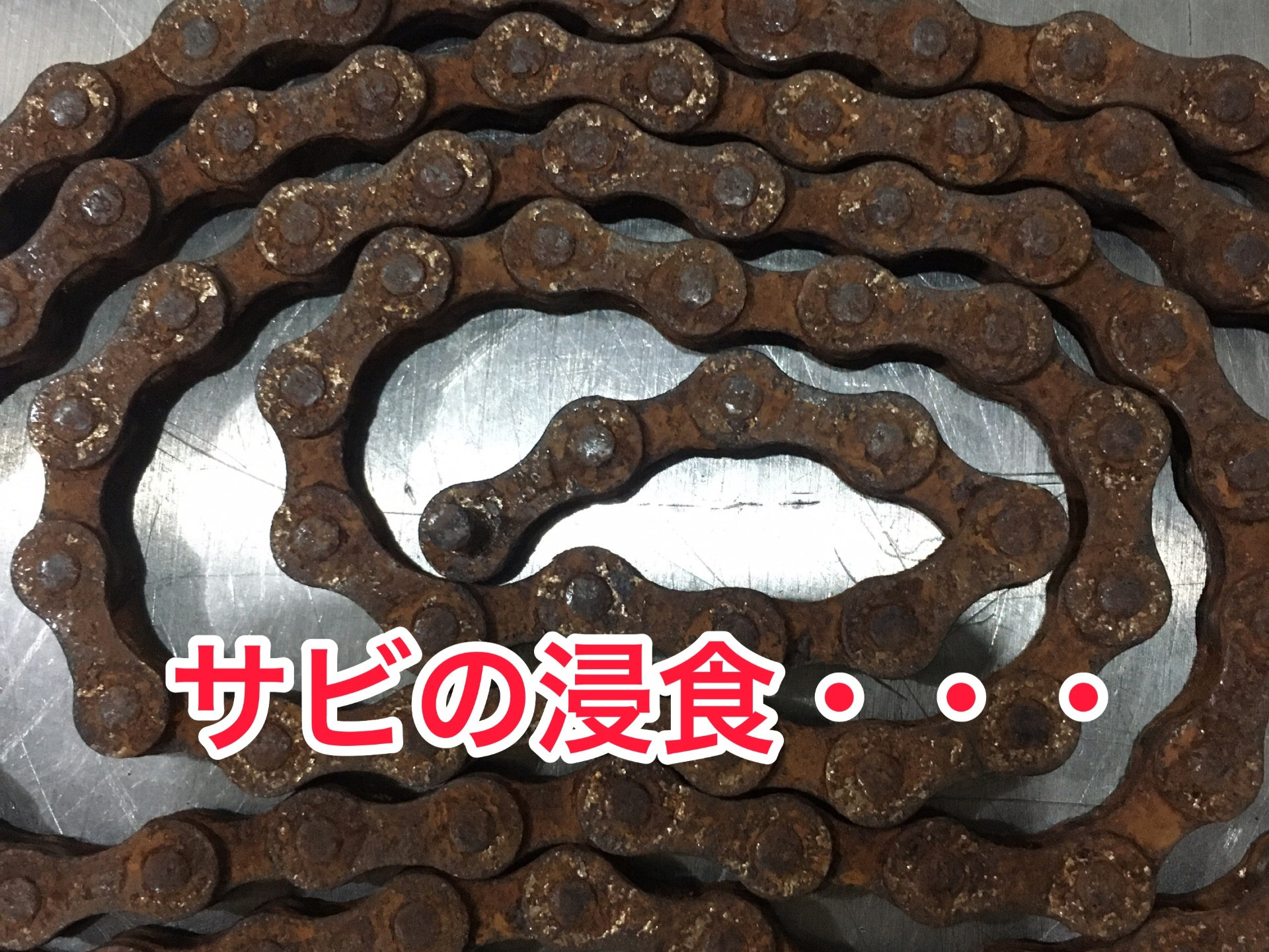 自然界の大いなる流れに立ち向かえ！